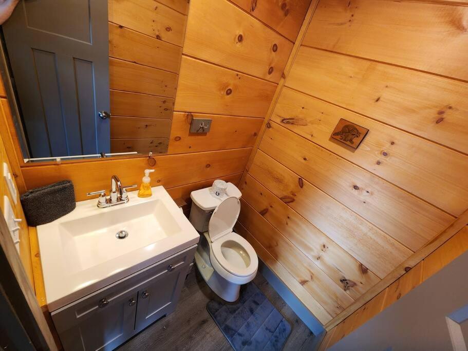 Dancing Bear Cabin- Relax & Enjoy! Sevierville Exterior foto