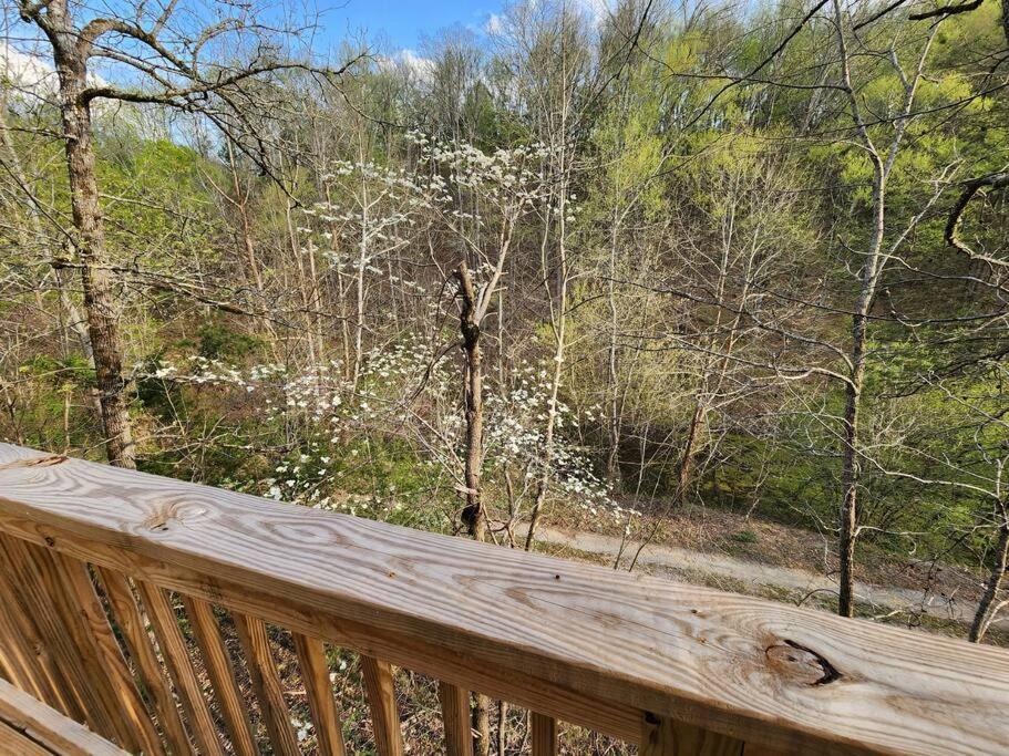 Dancing Bear Cabin- Relax & Enjoy! Sevierville Exterior foto